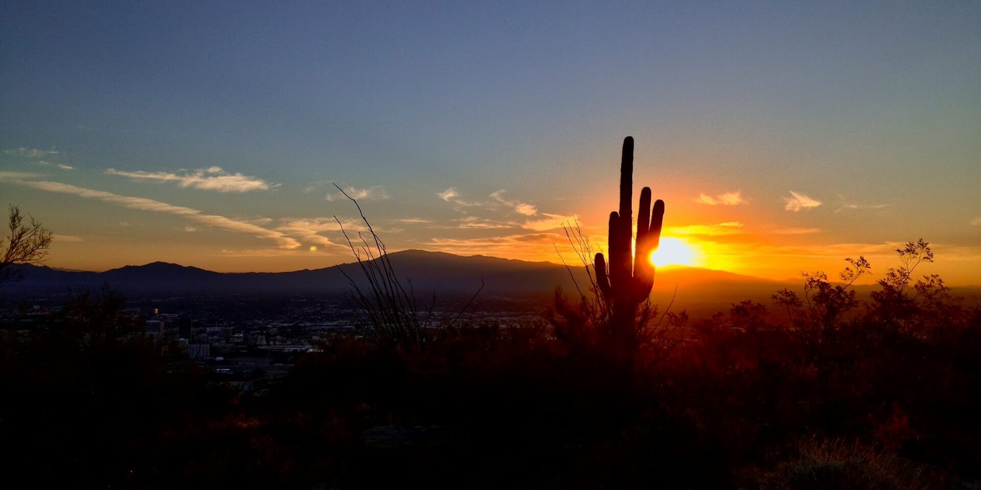 Cactus and mountain in Tucson, AZ.
